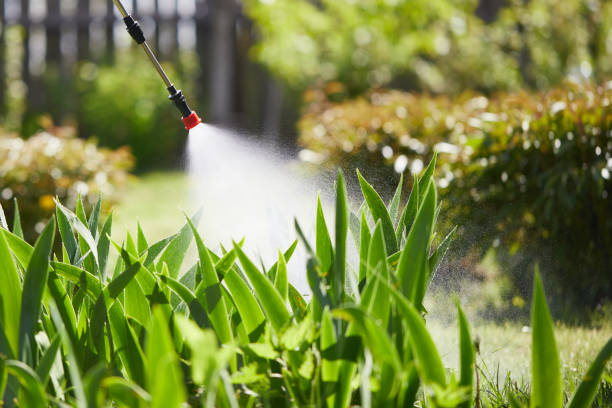 24/7 Emergency Ant Control experts in Sherman, IL