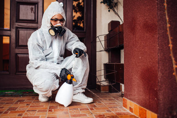 Reliable Ant Control contractor in Sherman, IL by Show Me Pest Control